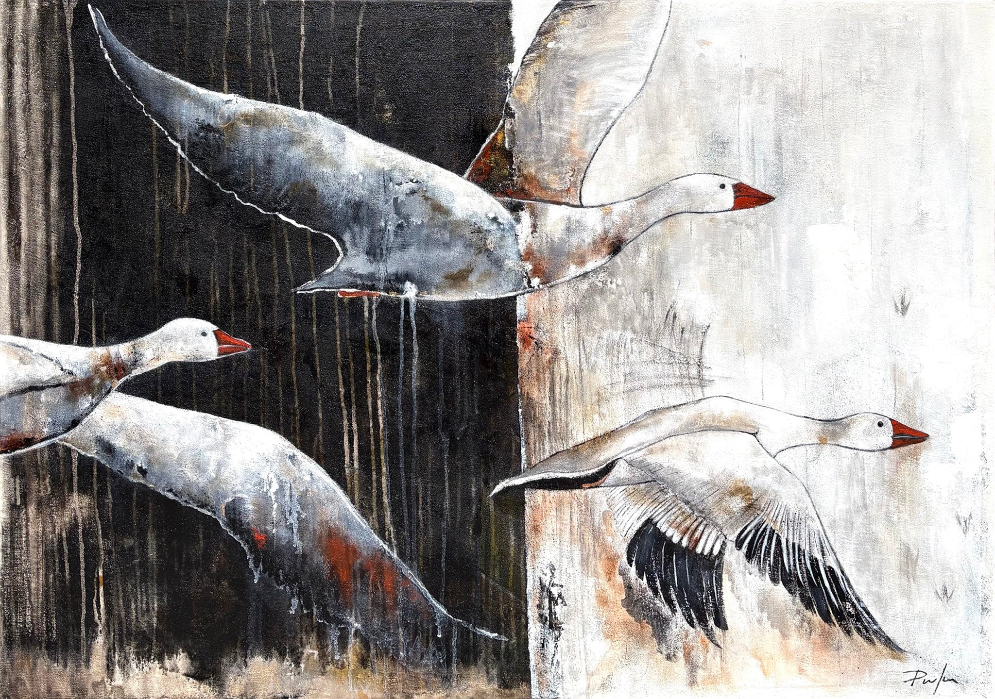 Sur les ailes du vent
