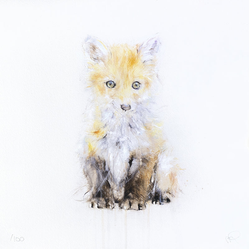 Fox VI (Série/Series)