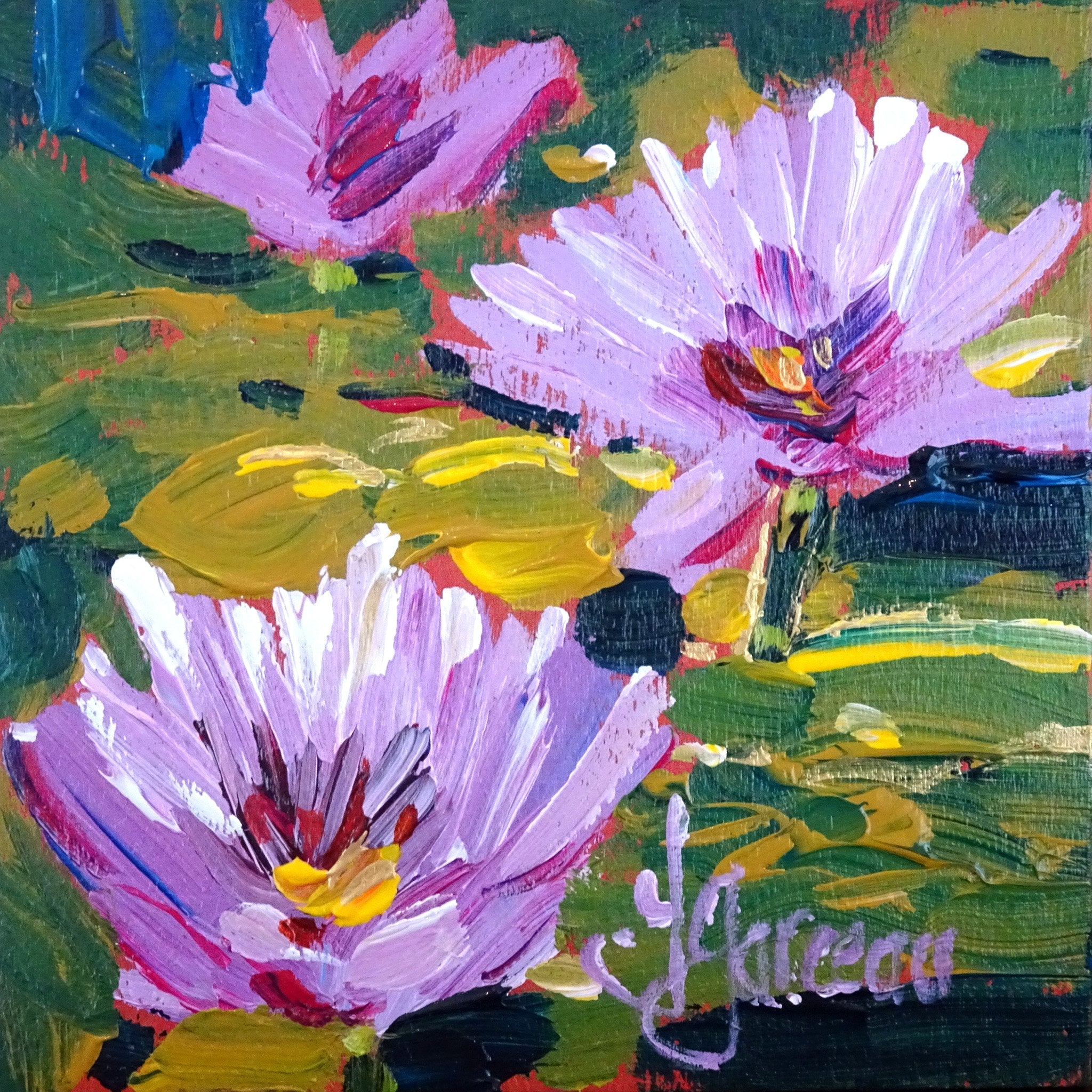 Dans la mare aux palmiers