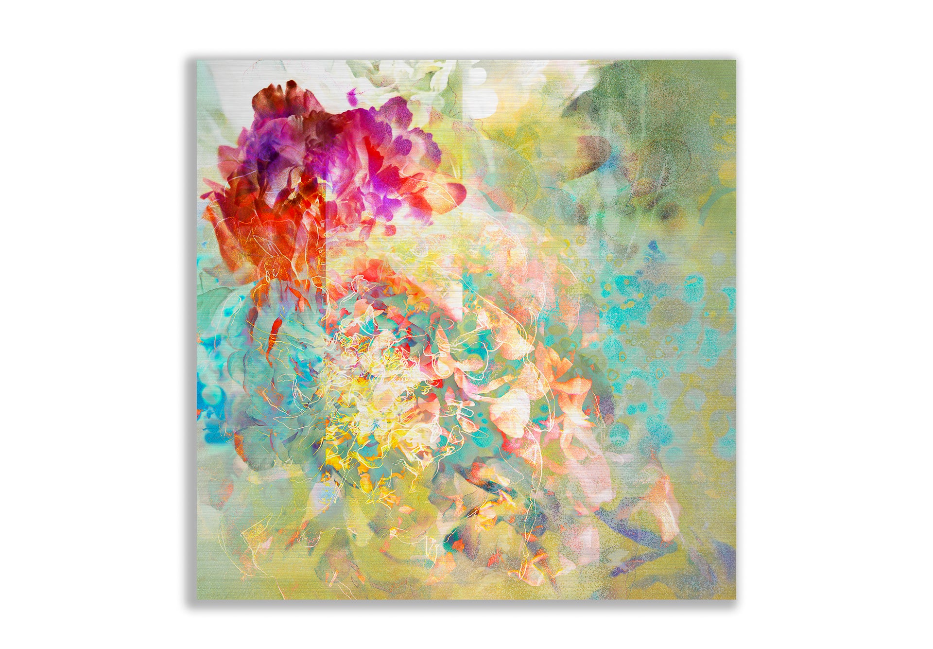 Les pivoines, 1 juillet 23h31