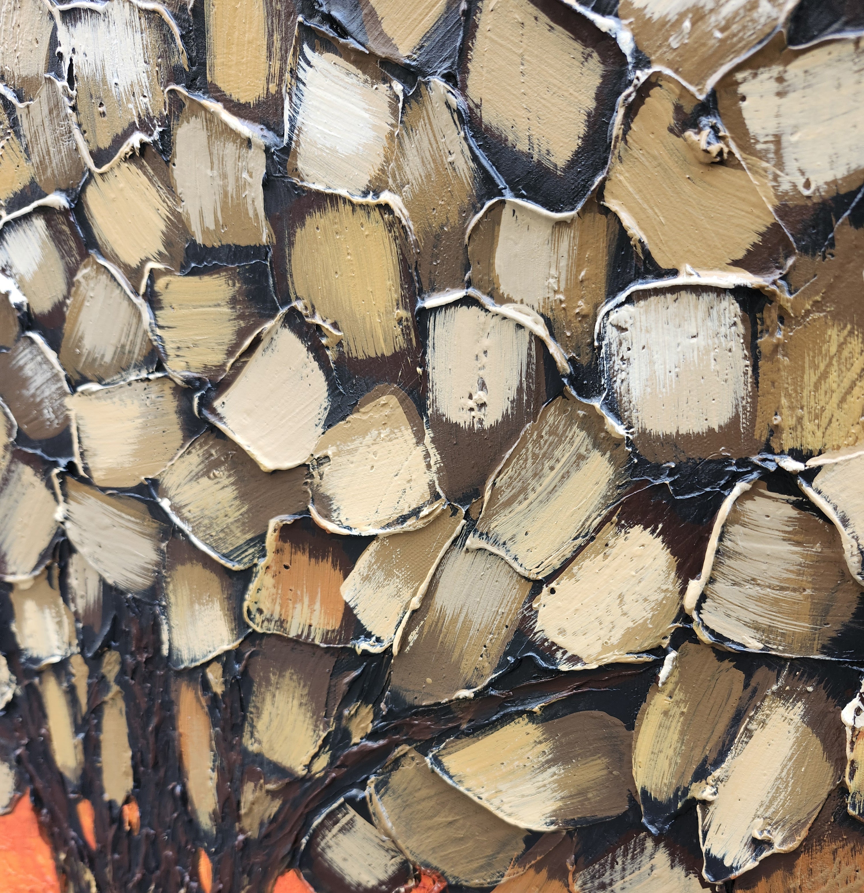 Agnation Hypertrophique