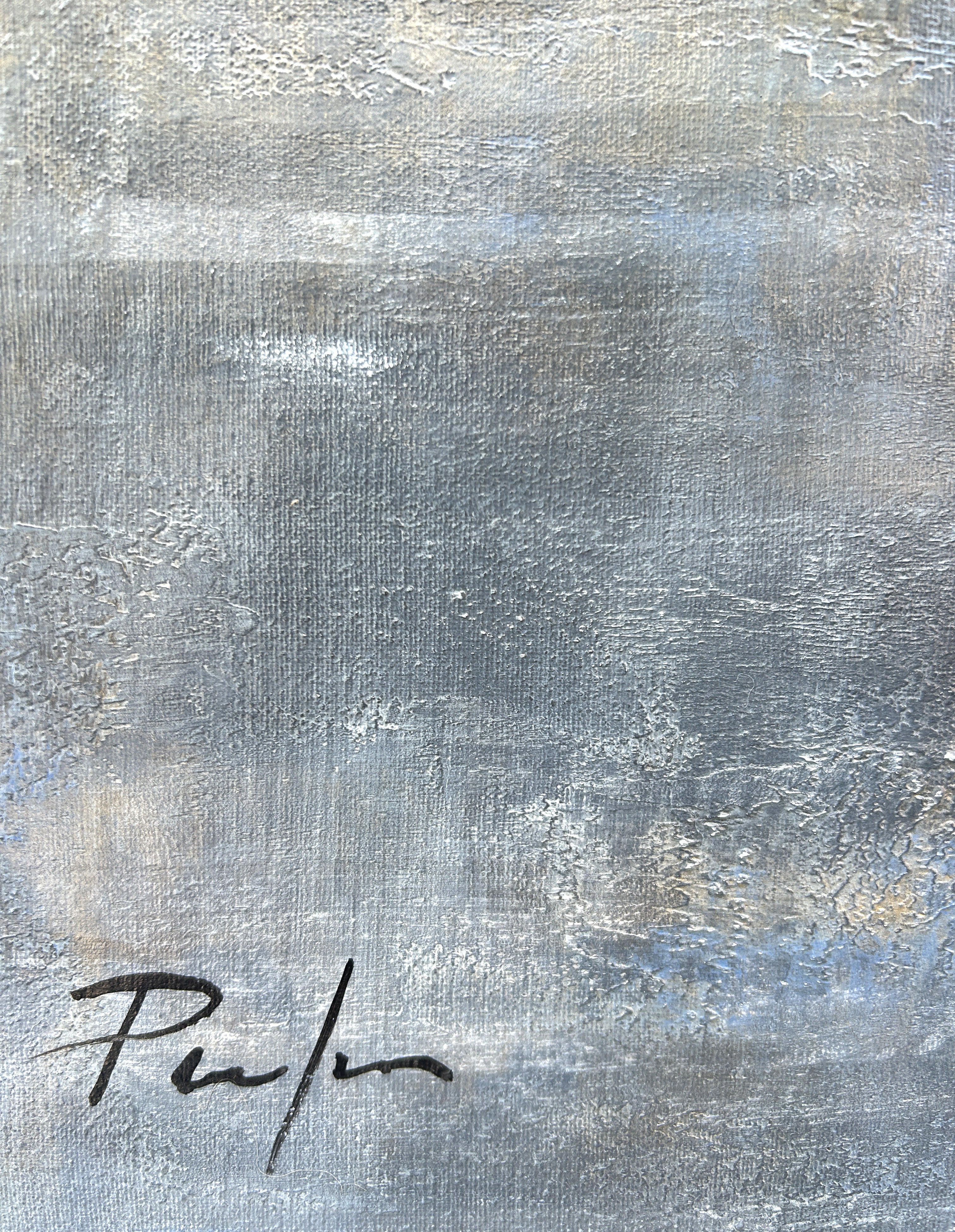 Le long périple des oies blanches