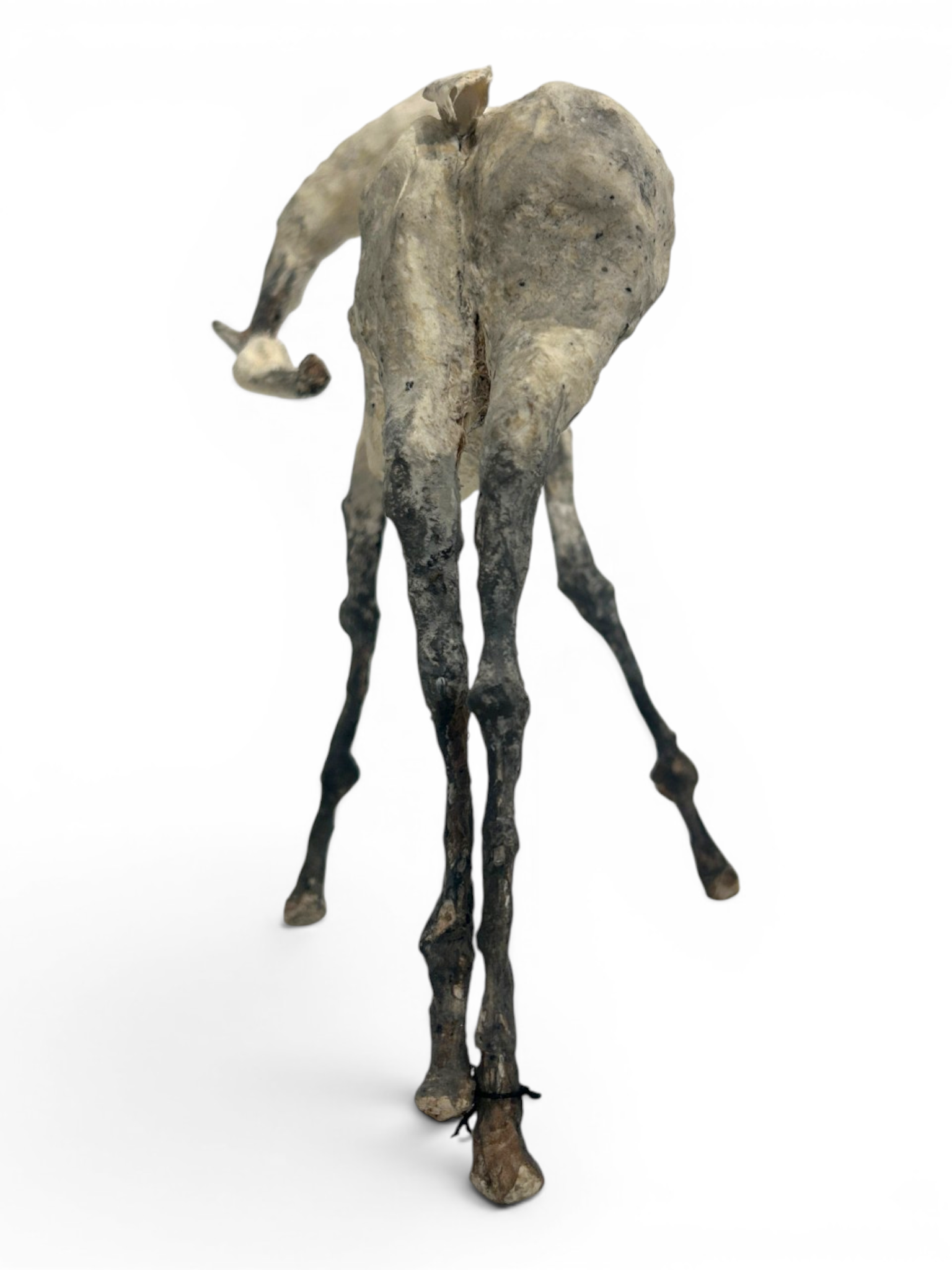Liht II