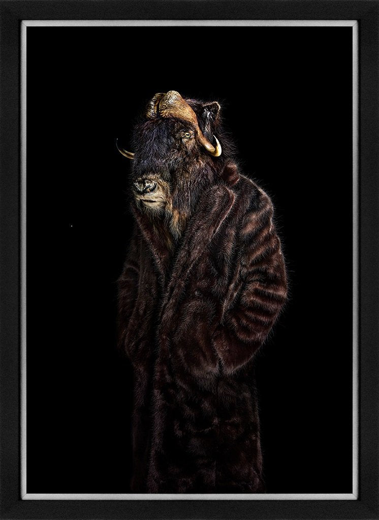 Segundas pieles - Retrato número 95 (17/50)