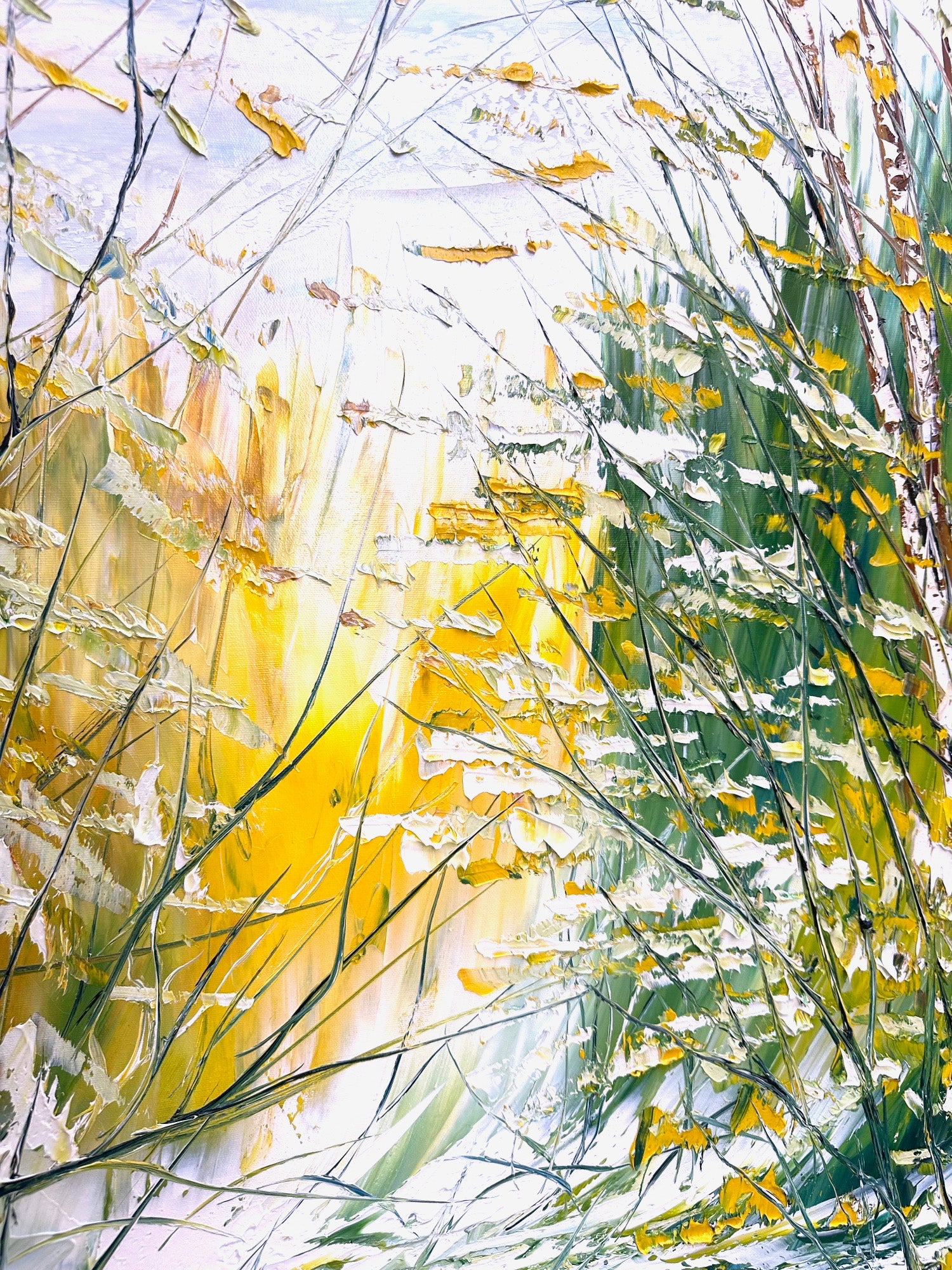 Soleil printanier à l'horizon
