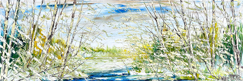 Regards sur le printemps