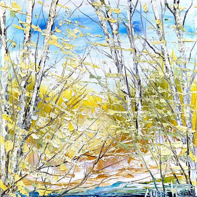 Lumière sur le printemps