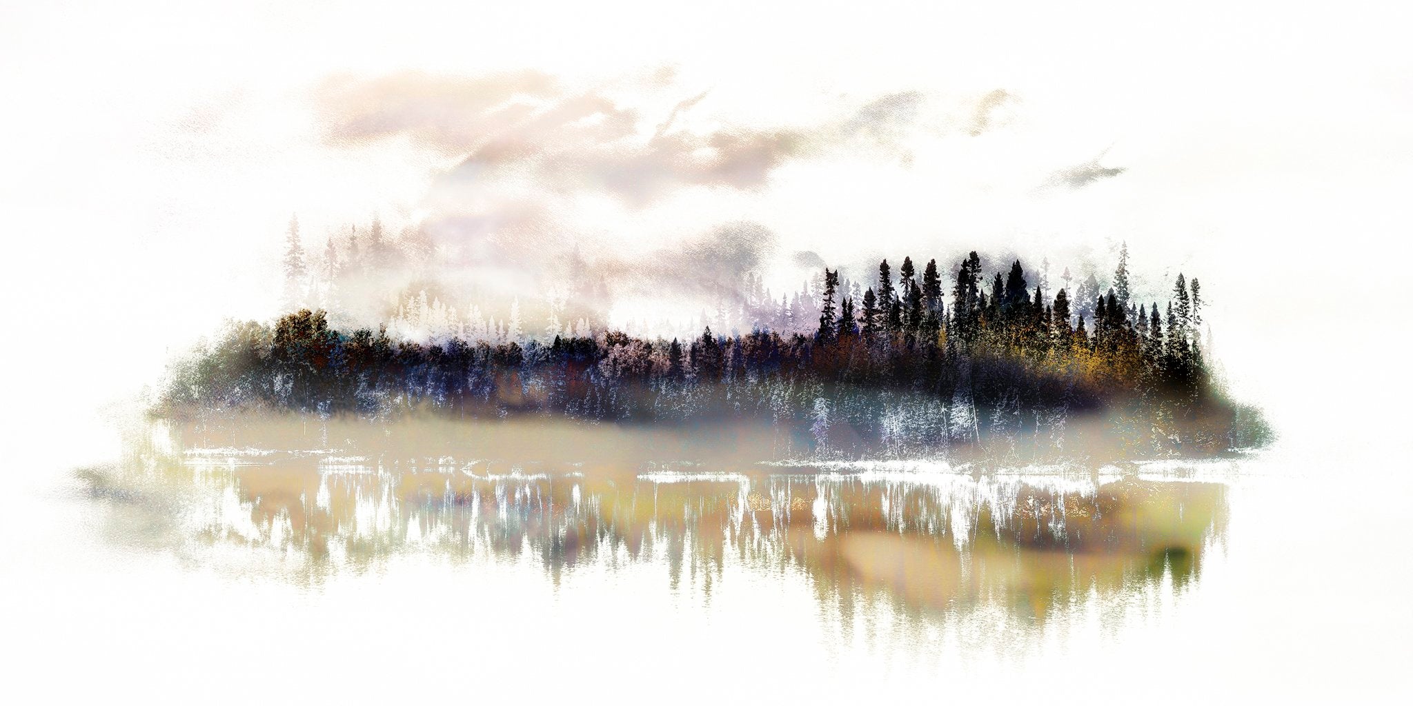 Les forêts, 15 août 8h32