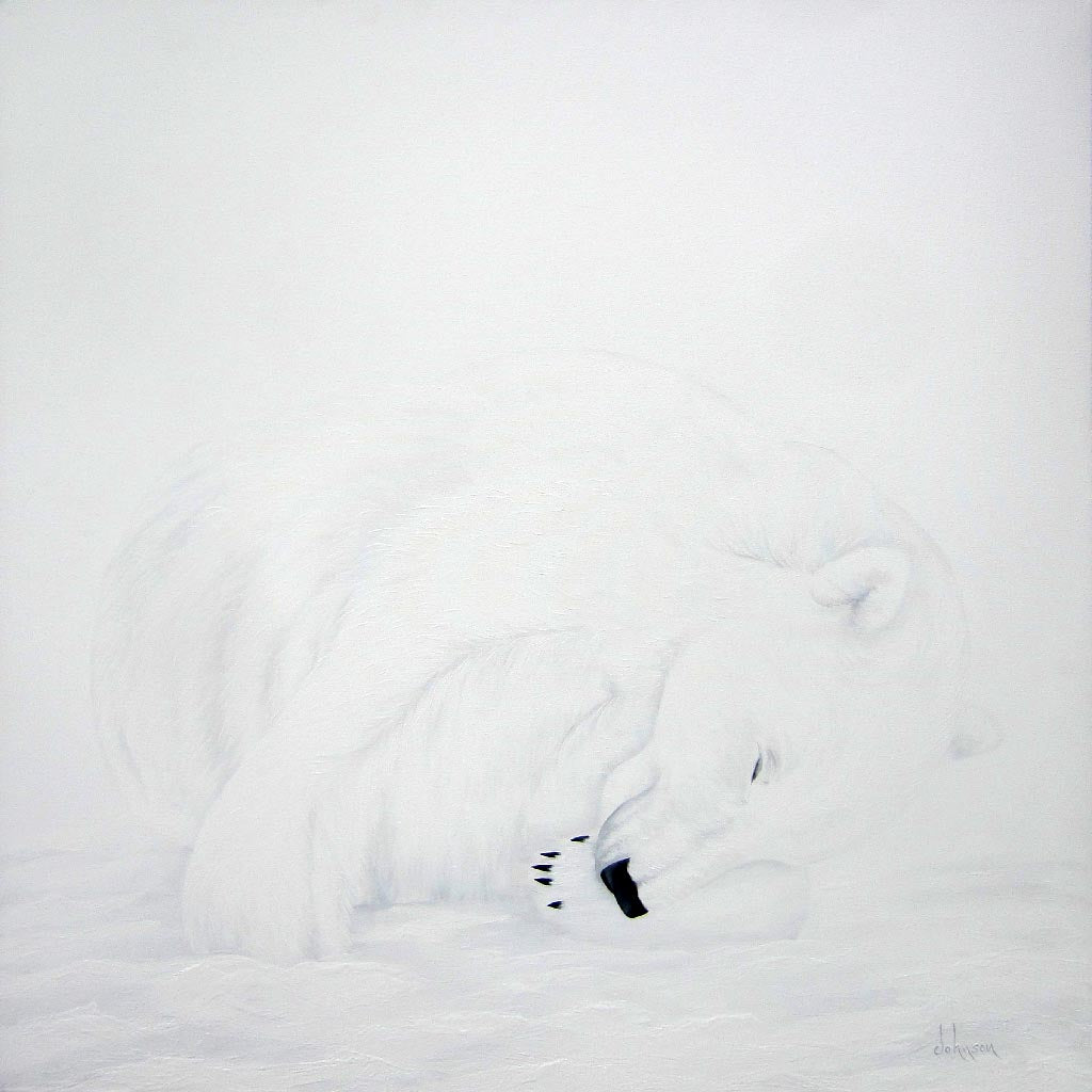 Sous une pluie d'étoiles