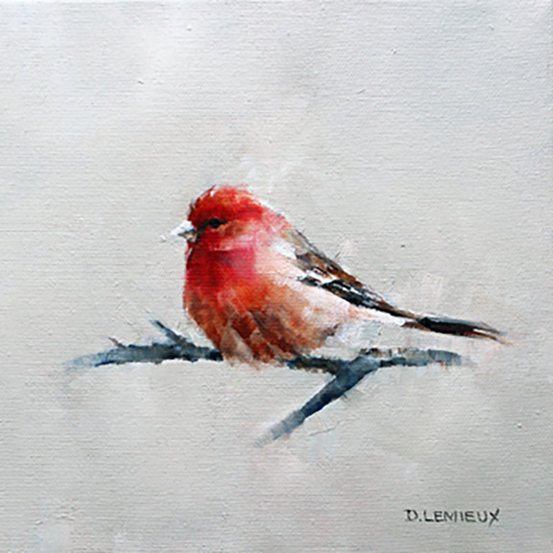 Purple Finch