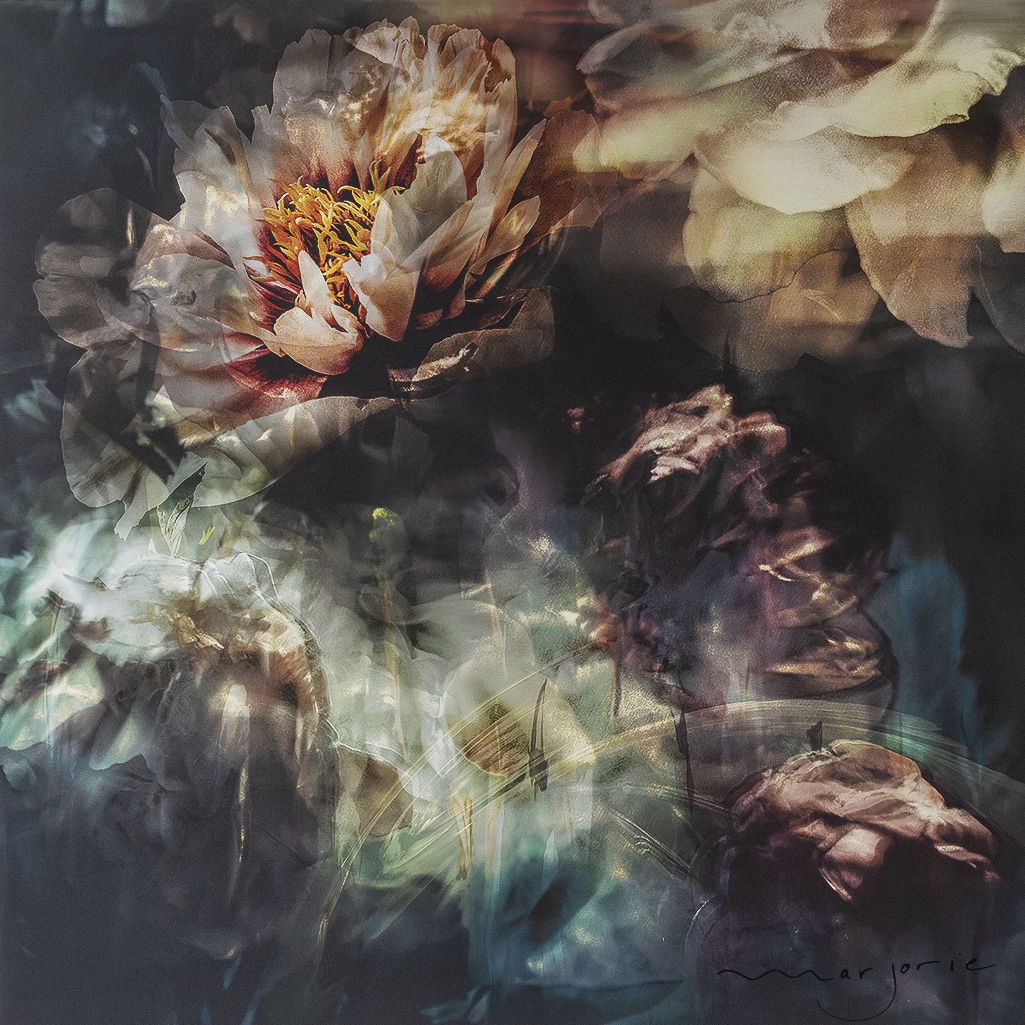 Les pivoines, 19 mai 8h21