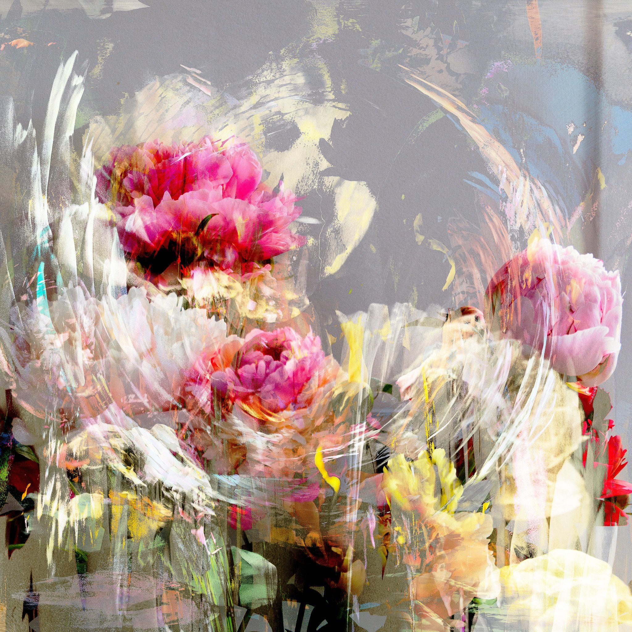 Les pivoines, 16 mai 10h19