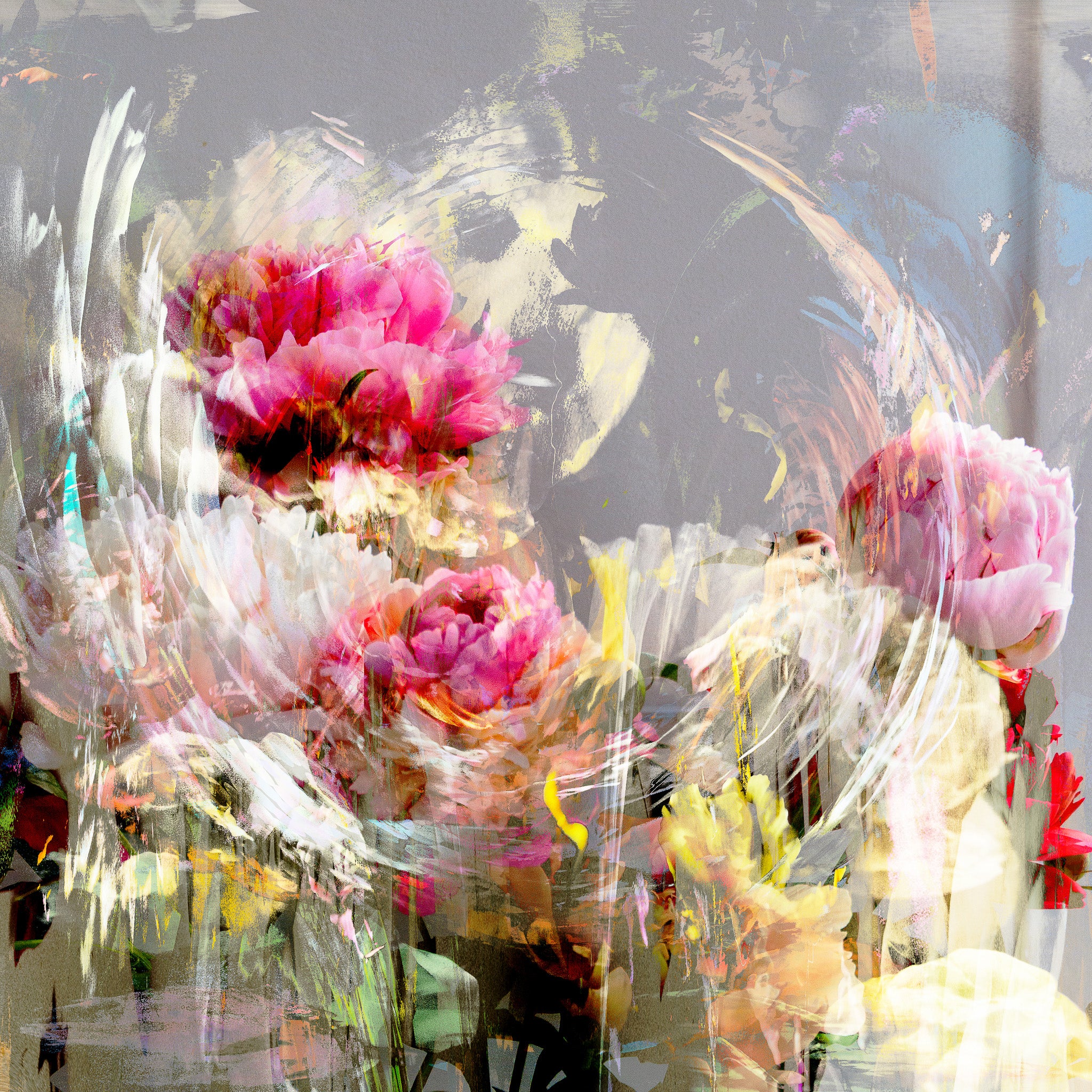 Les pivoines, 16 mai 10h19