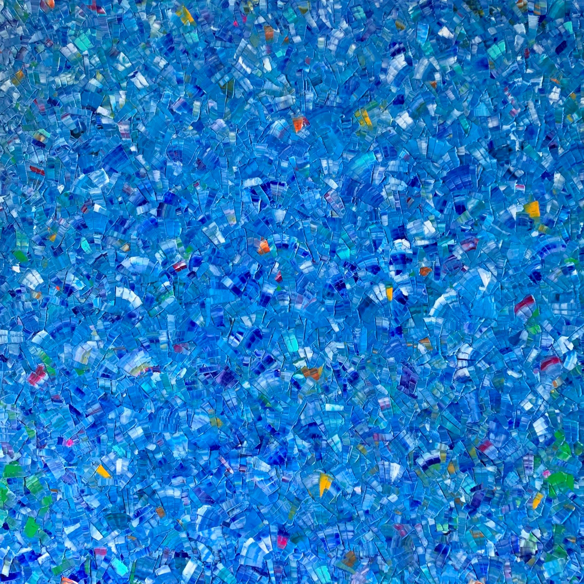 Sea Life