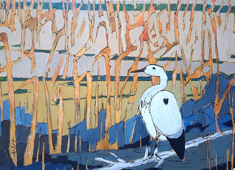 L’humeur des marais