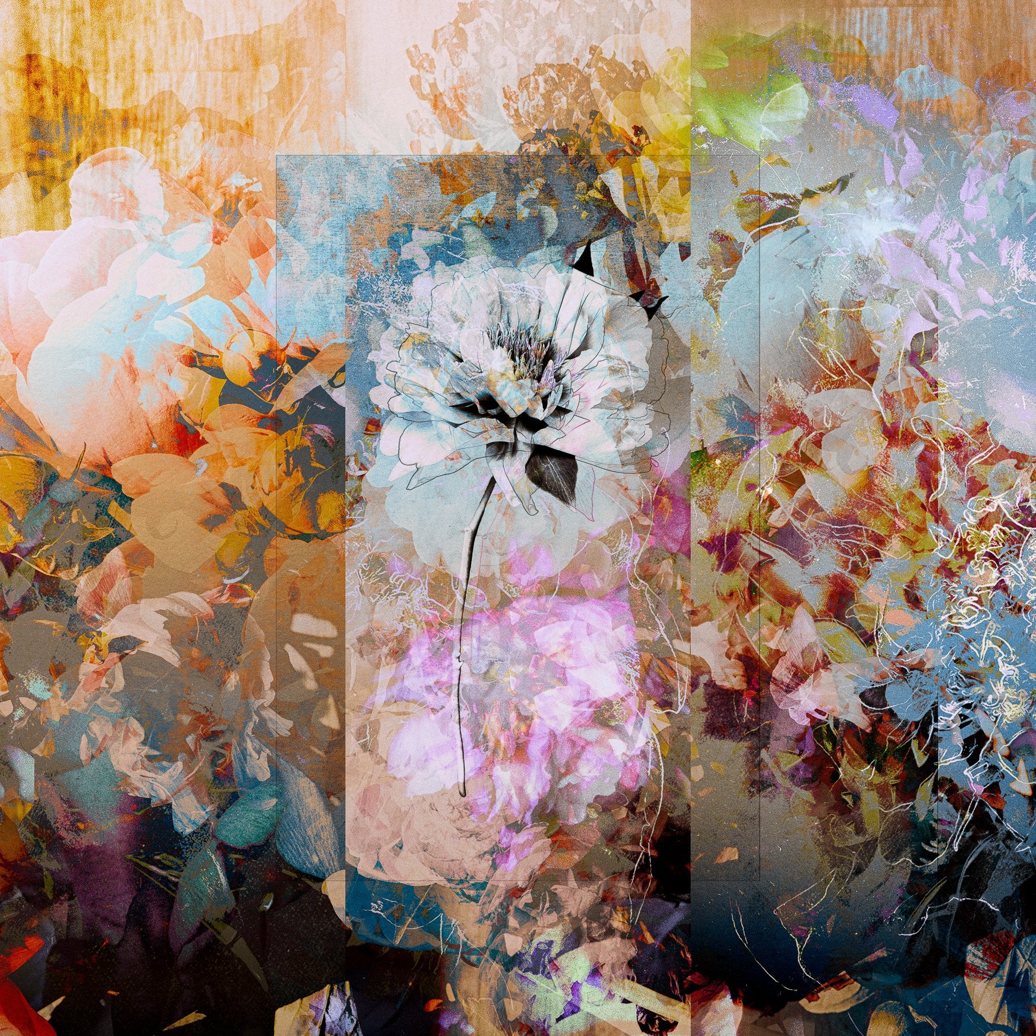 Les pivoines, 4 janvier 10h18