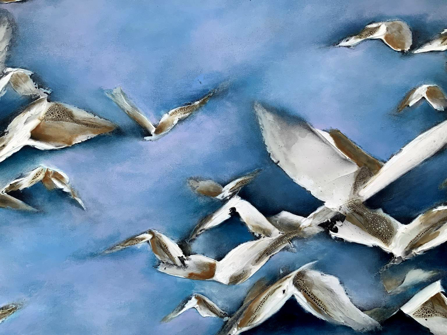 Birds - A flock of birds