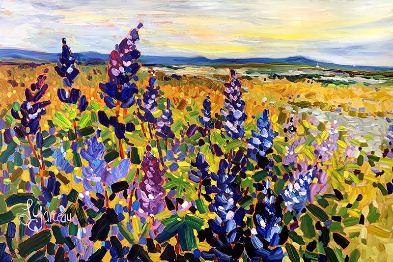 Sur la route de Strandarkirkja