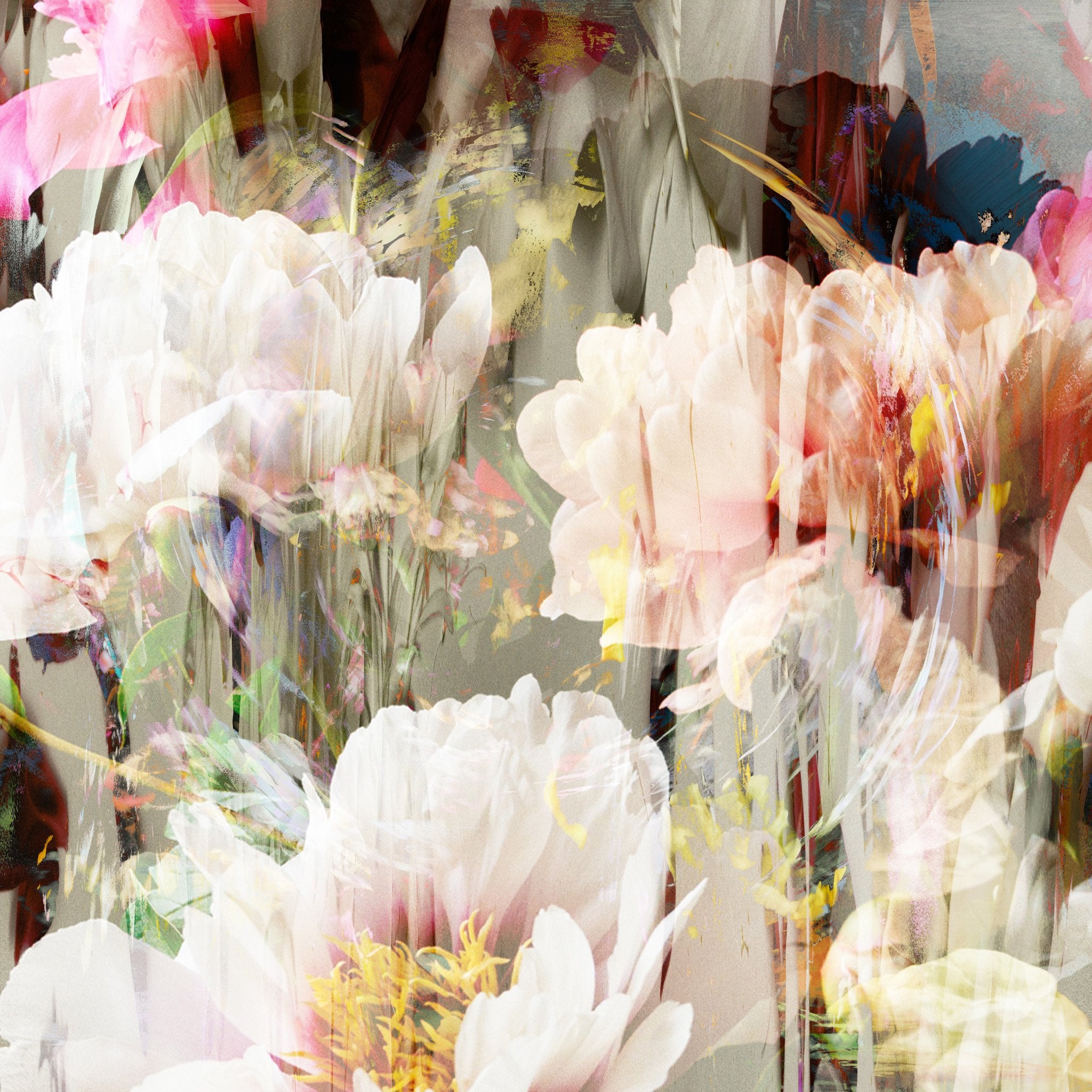 Les pivoines, 15 mai 18h10