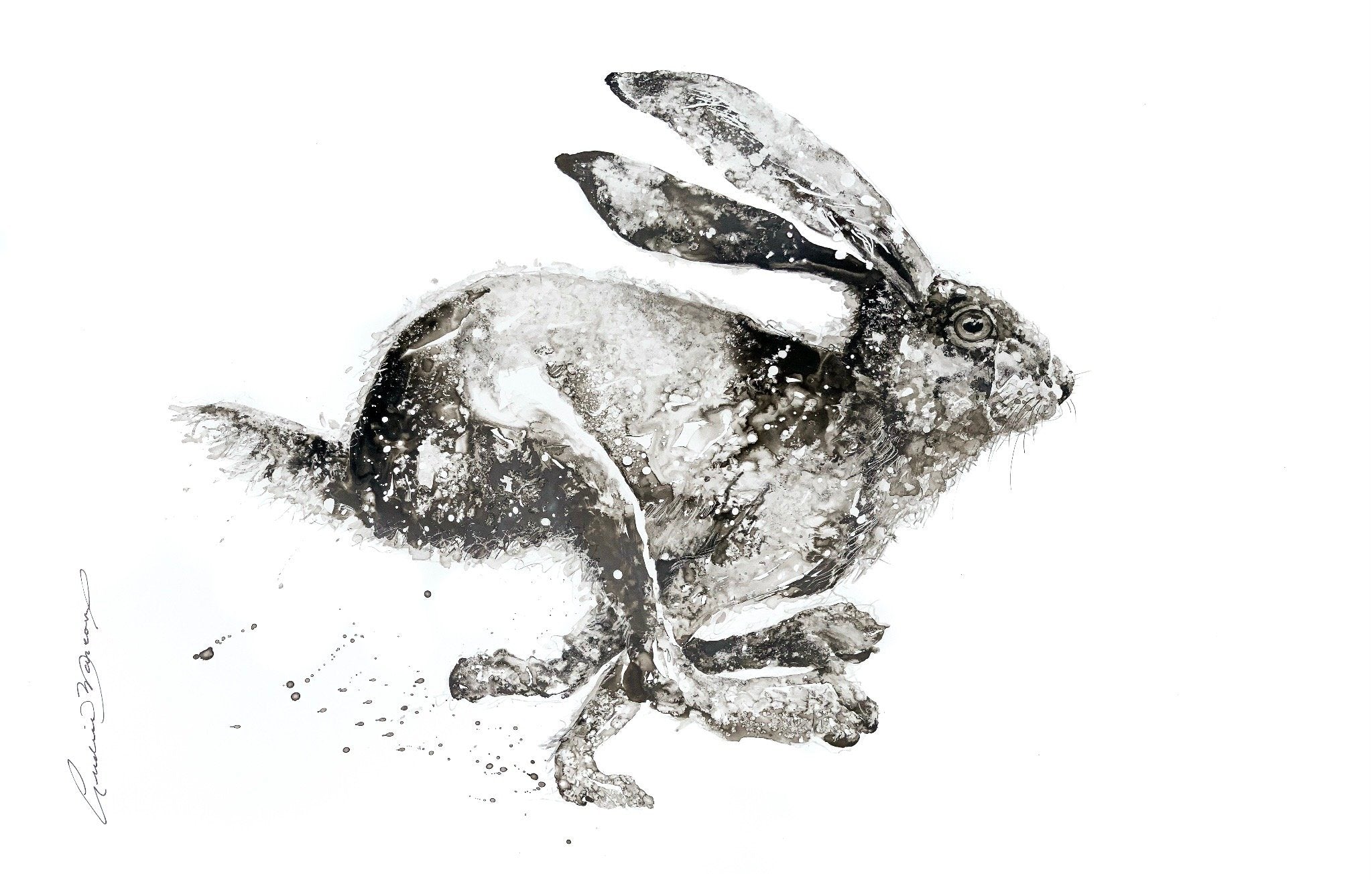 L’express (14/100) - Galerie d'Art Beauchamp