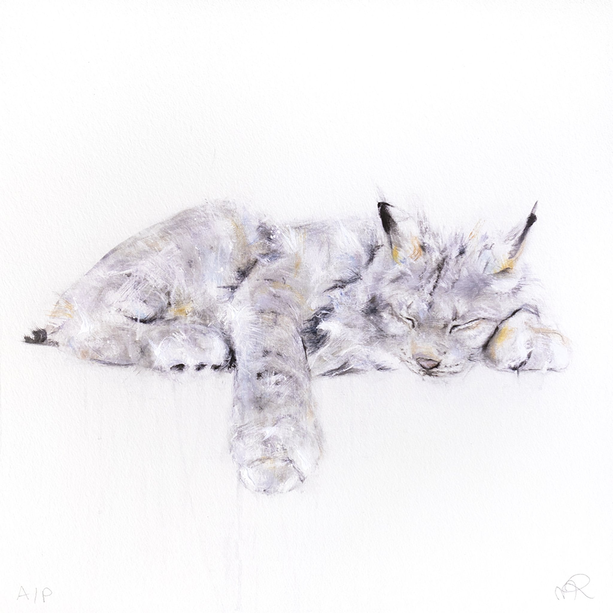 Lynx III (Série/Series)