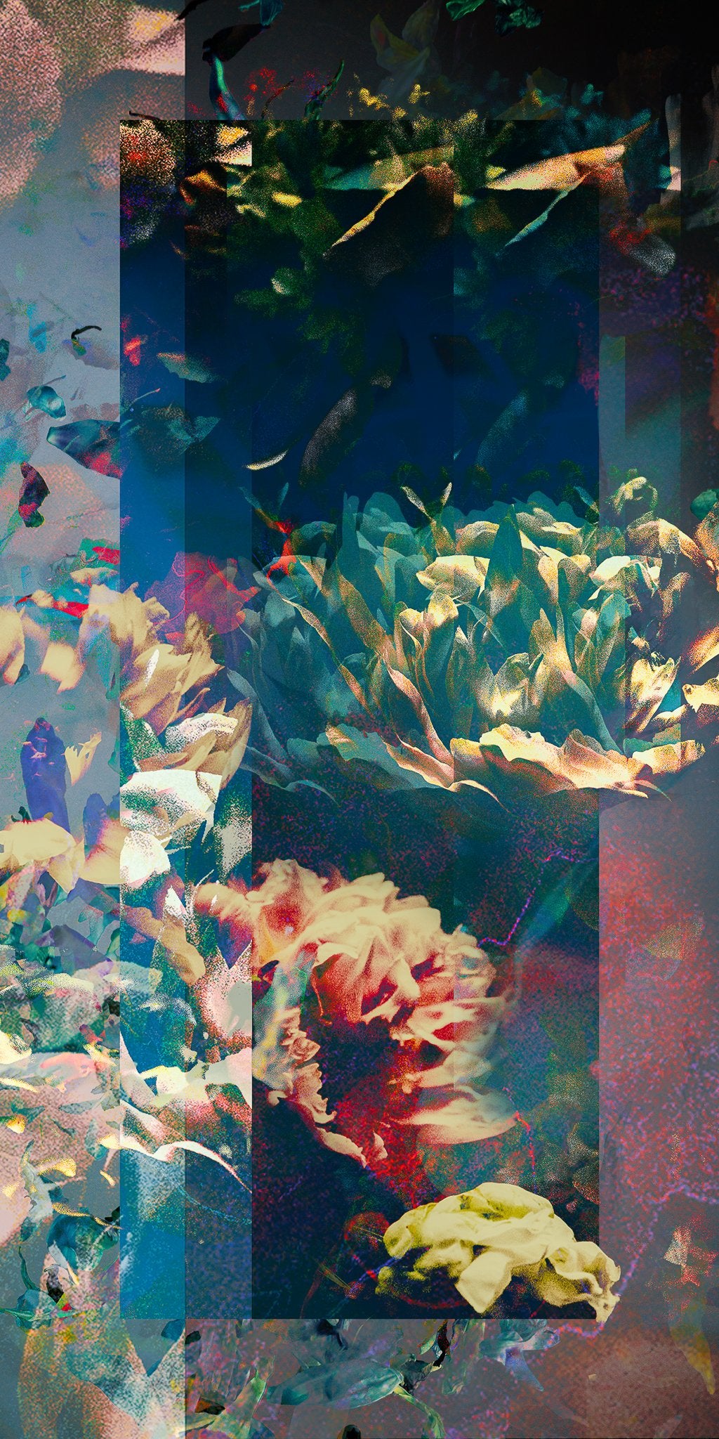 Les pivoines, 20 septembre 19h25