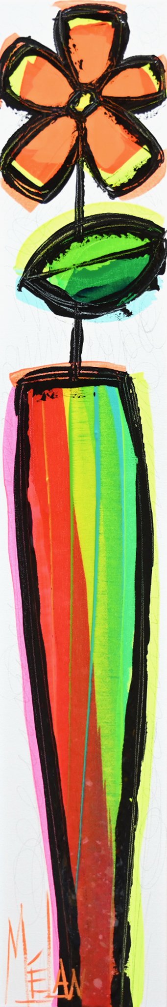 Douceur de couleurs