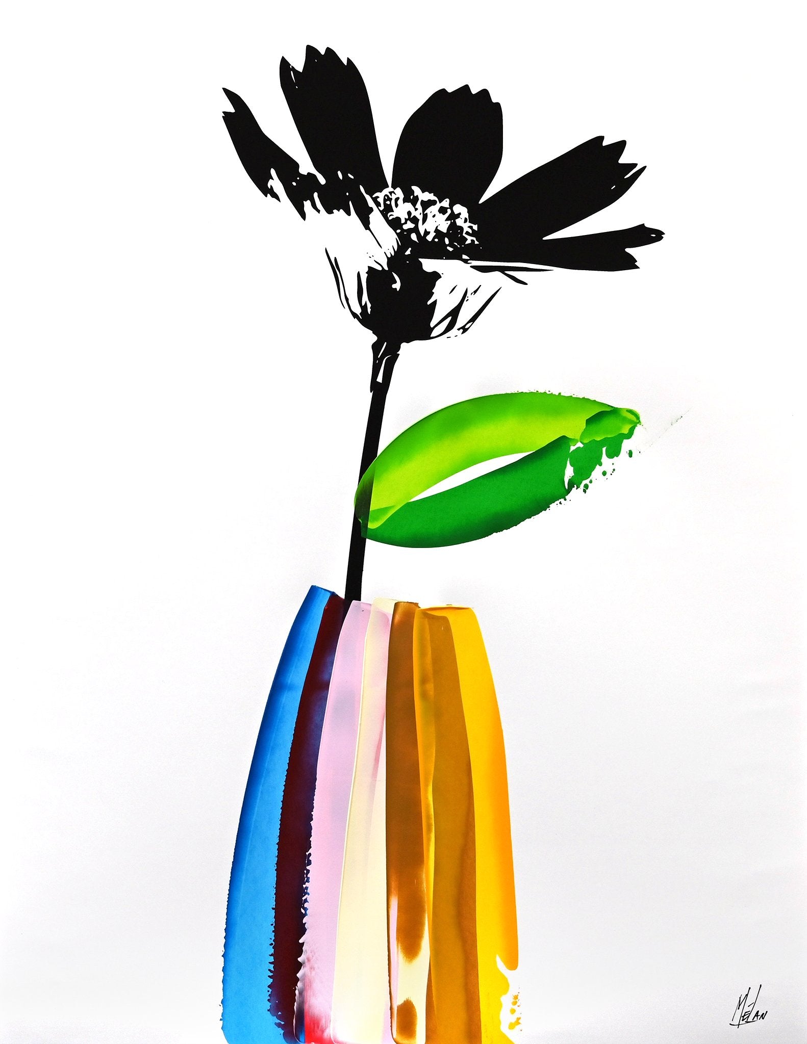 Botanica 46