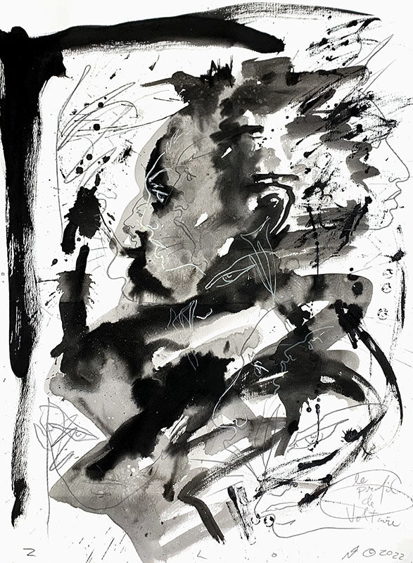 Le profil de Voltaire