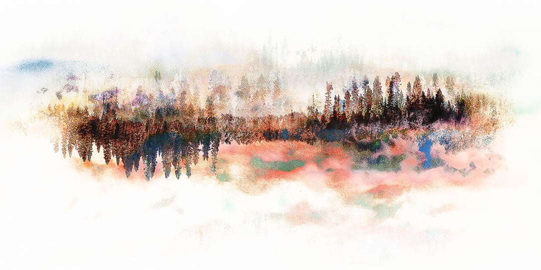 Les forêts, 25 septembre 19h18, Roy, Marjorie, Photo montage on white metal