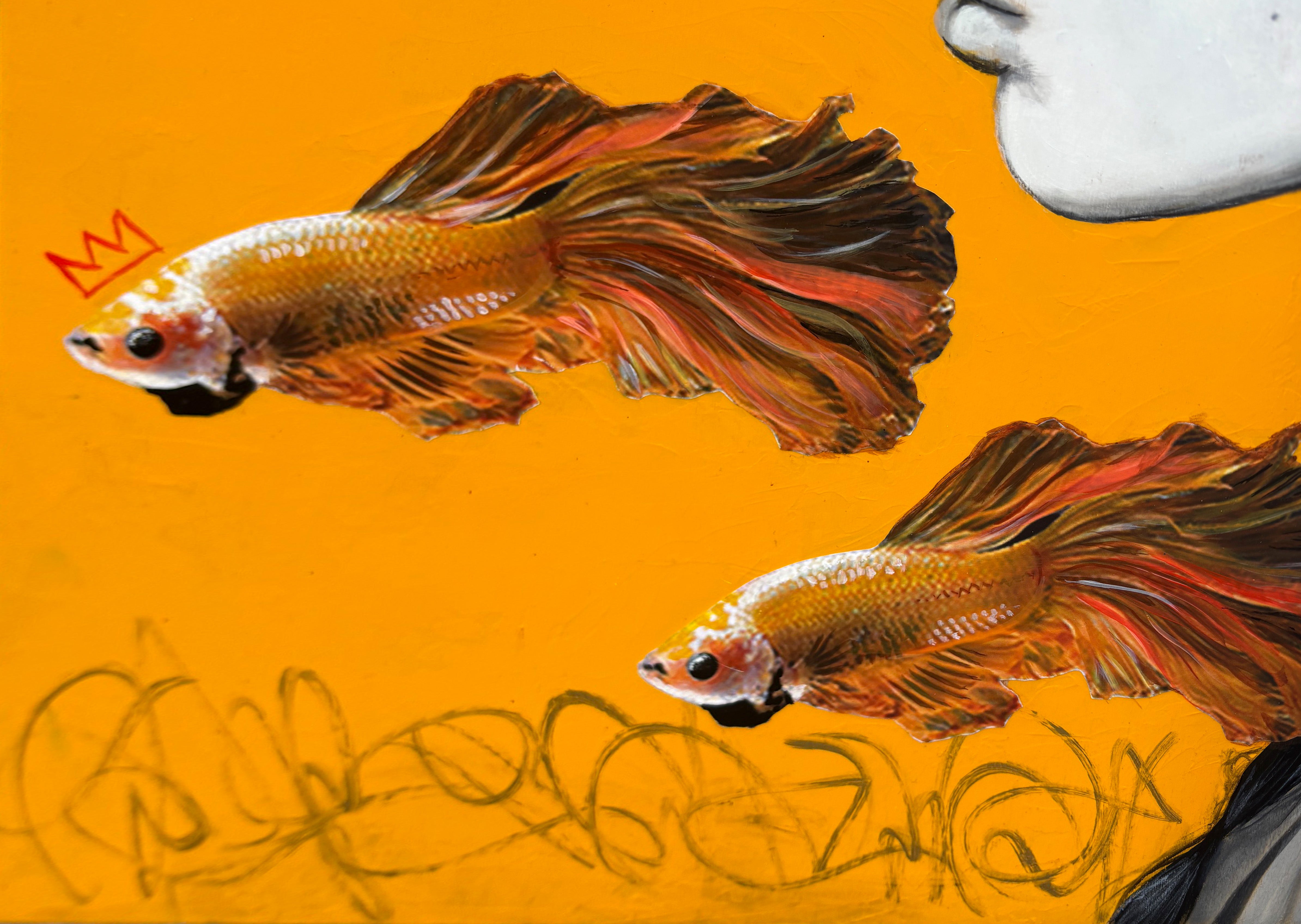 Libre comme un poisson dans l’eau