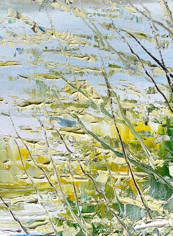 Regards sur le printemps