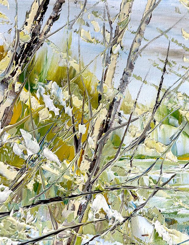 Regards sur le printemps