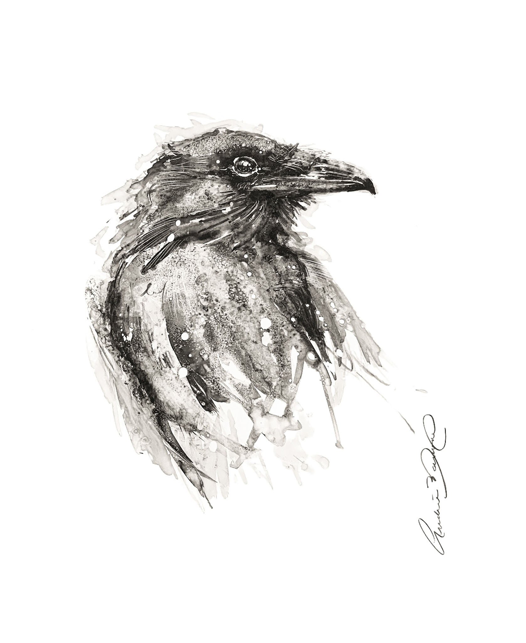 Gentil corbeau (11/100)