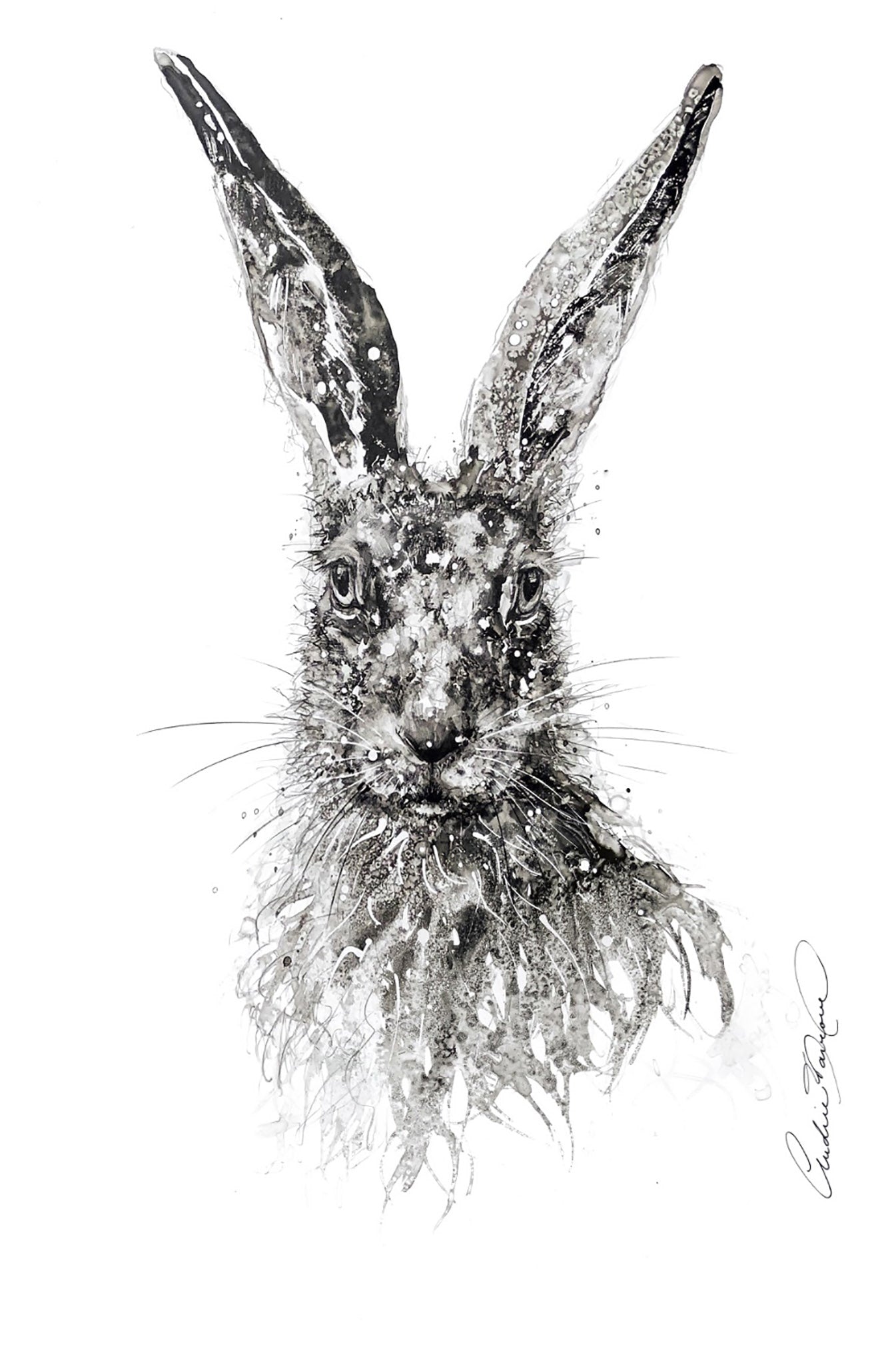 Raconte-moi tout ! (14/100)