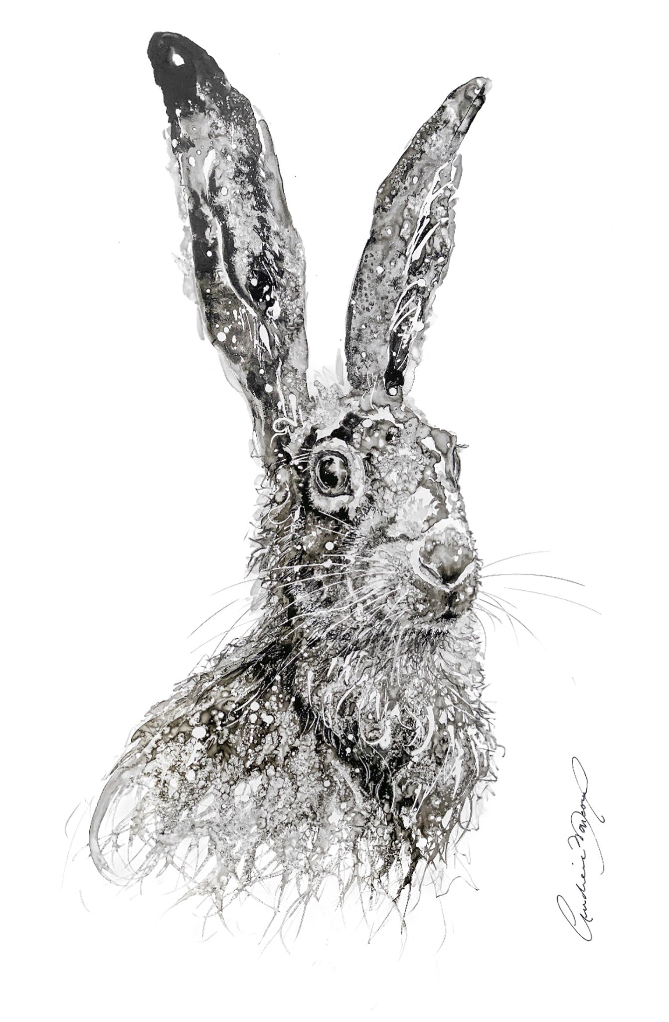 Fière comme un ...lièvre ! (7/100)