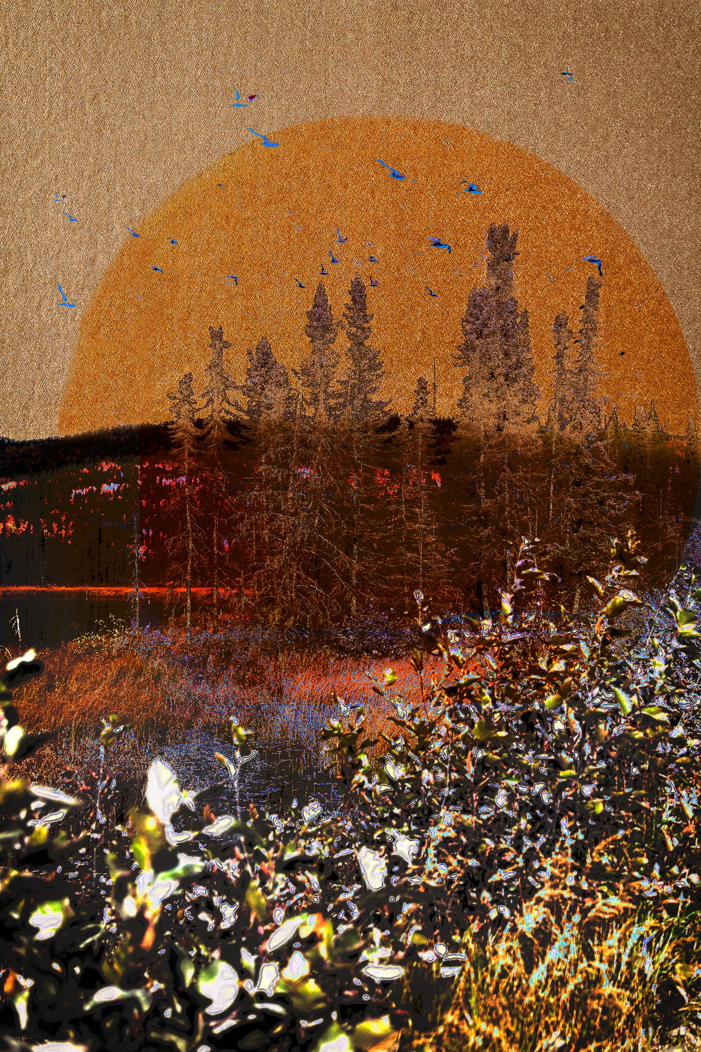 25 avril 9h20 : Je t’ai laissé entrer à l’heure du petit déjeuner