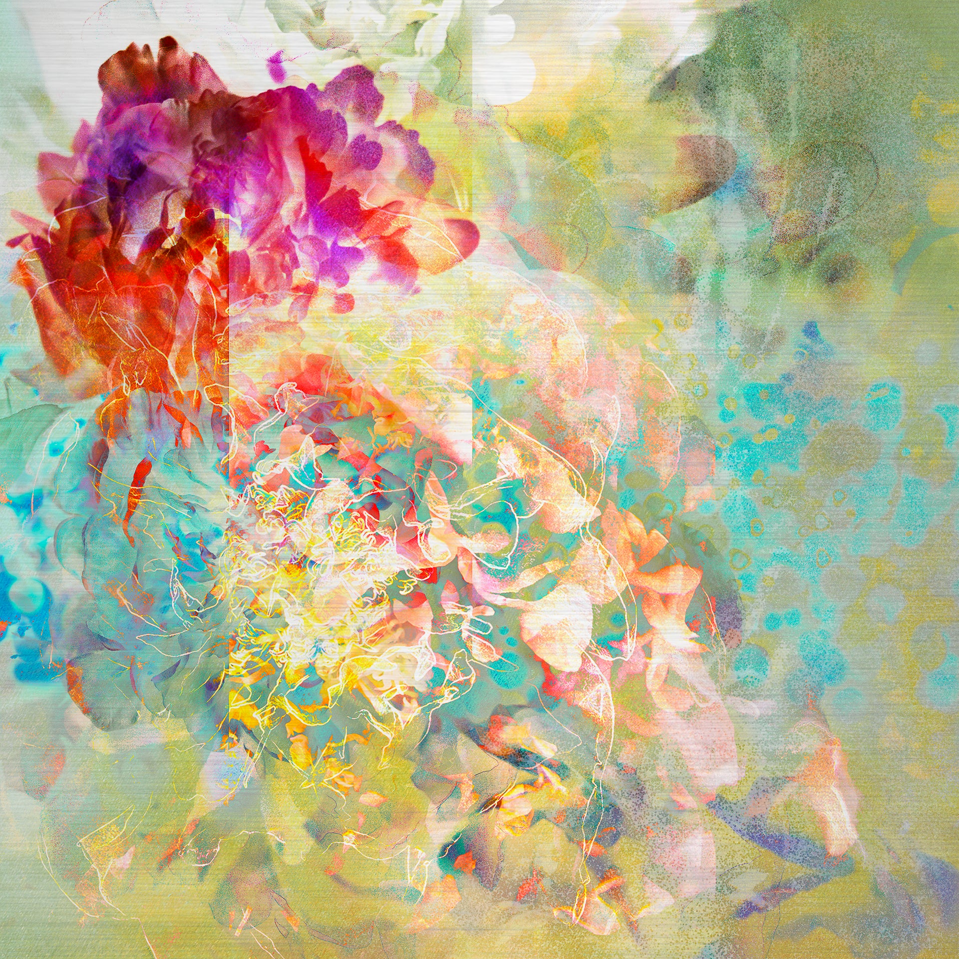 Les pivoines, 1 juillet 23h31