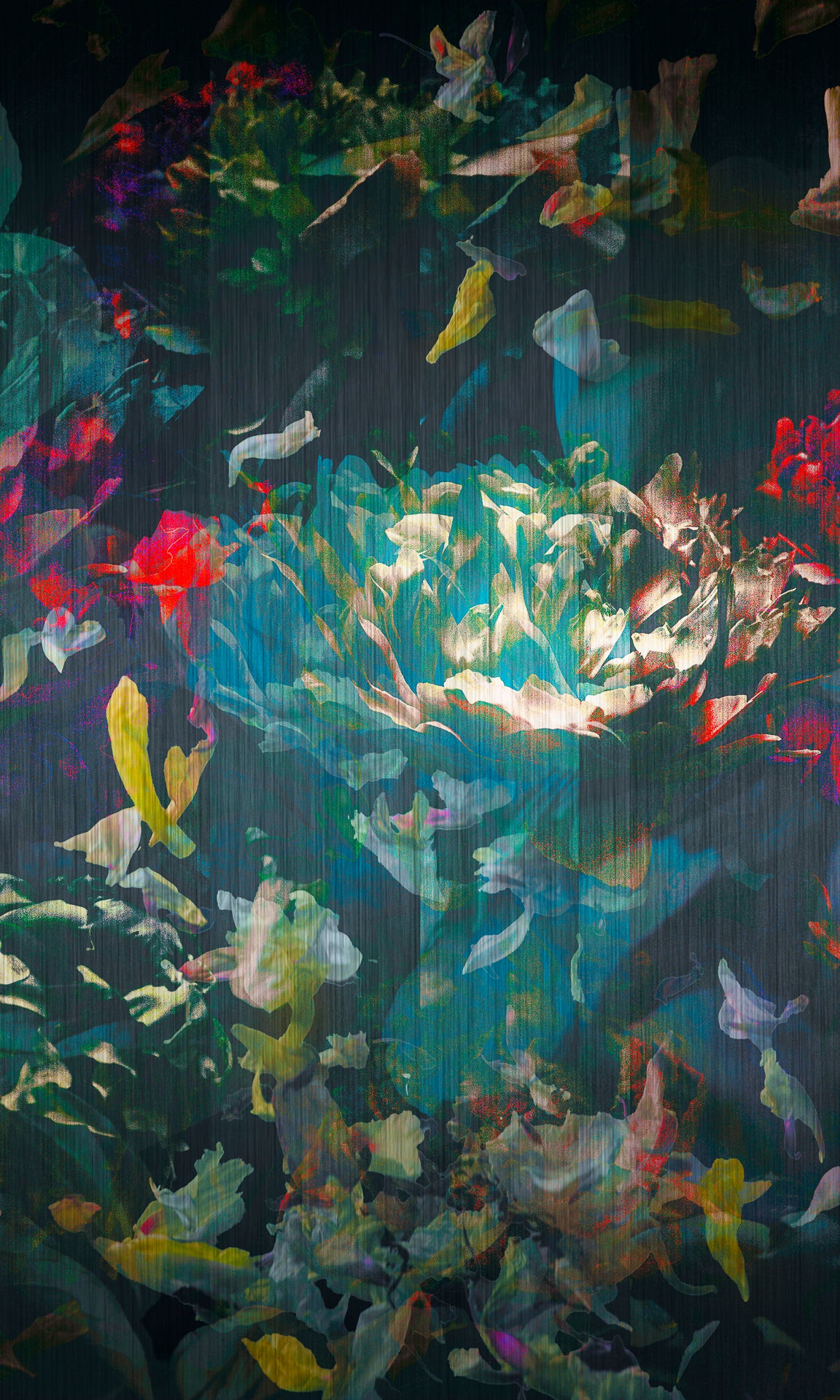 Les pivoines, 6 juillet 14h37