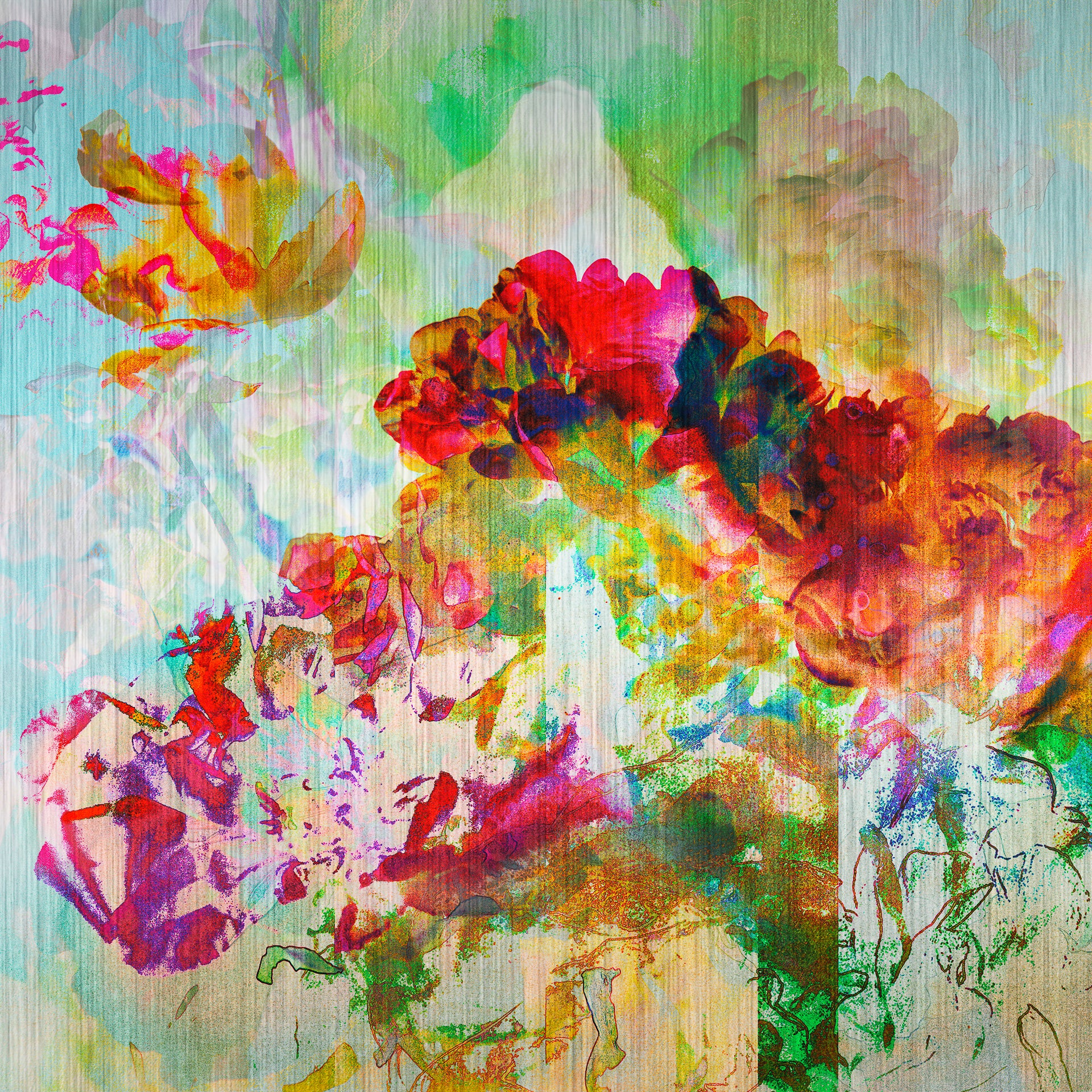 Les pivoines, 6 juillet 15h56