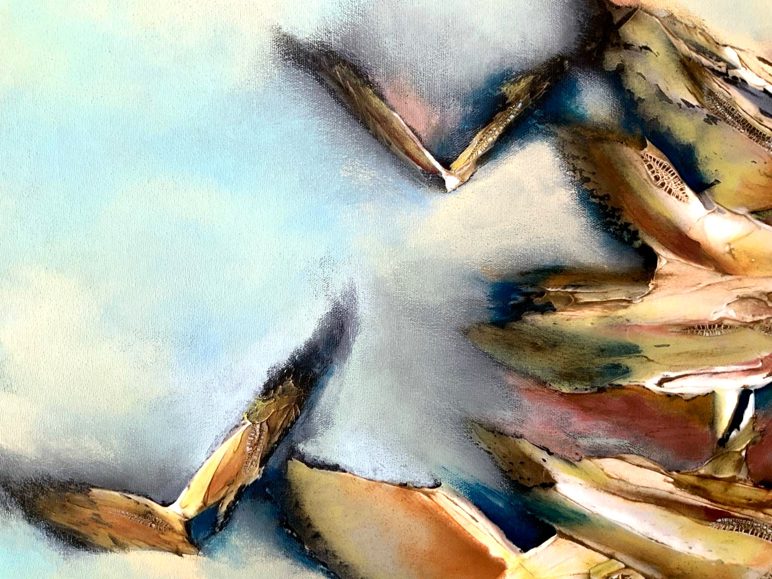 Birds - Coming back home