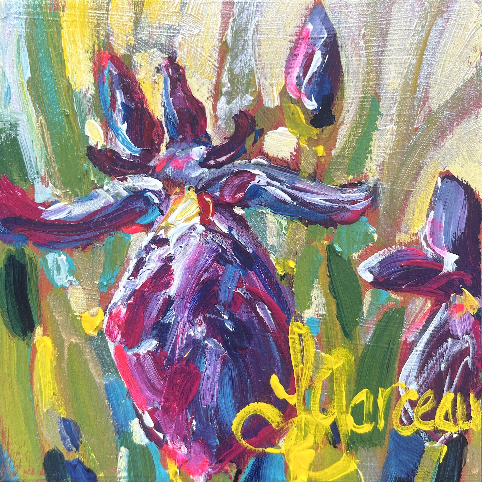 Trésors du Parc National