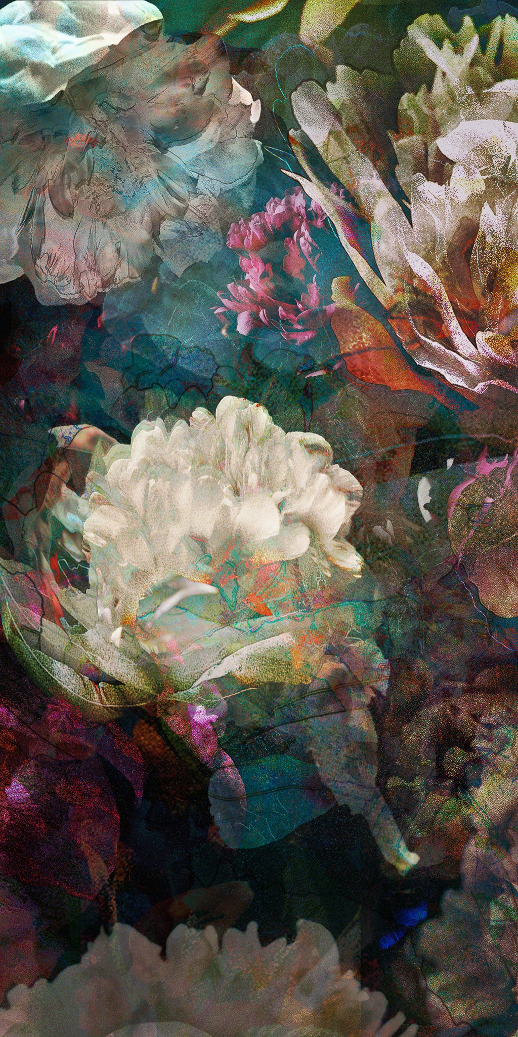 Les pivoines, 2 novembre 6h44