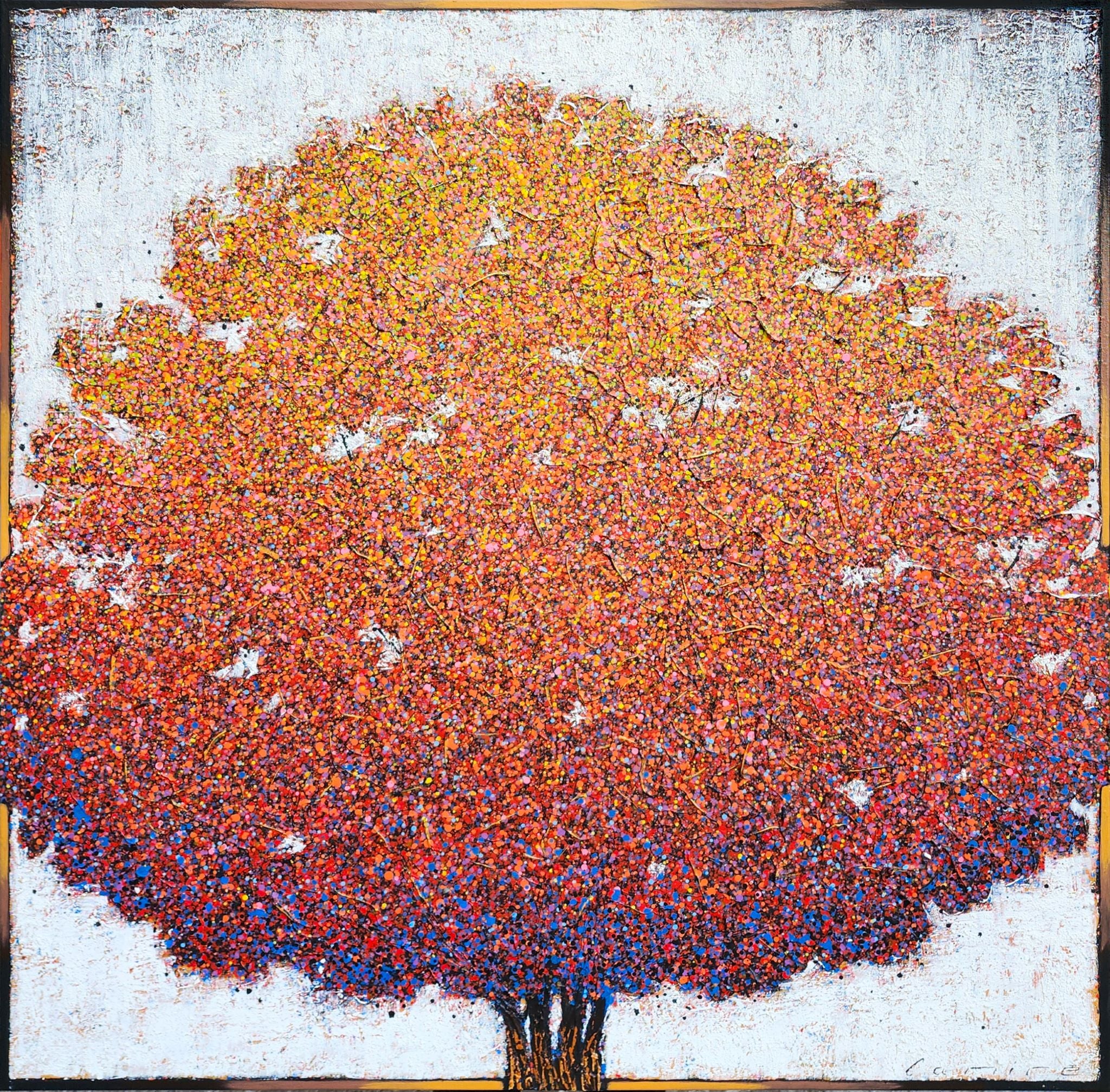 Donquichottisme mégalocytaire