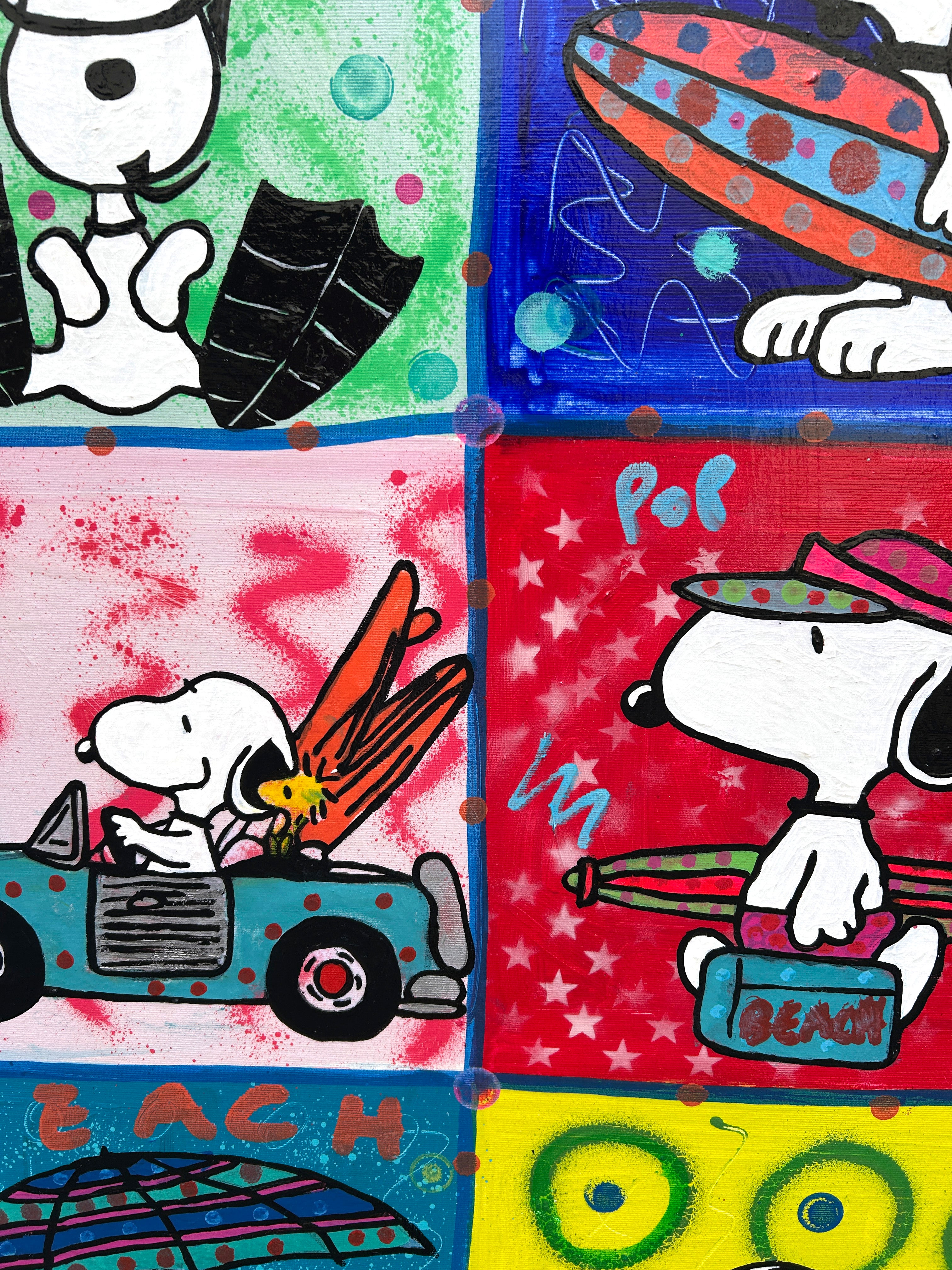 Surf, Sun And Snoopy