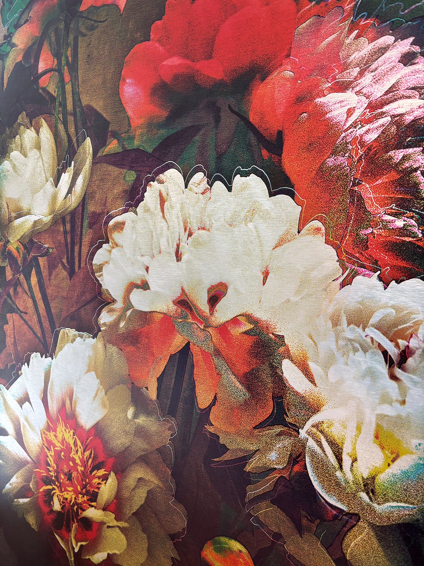 Les pivoines, 28 juin 17h35