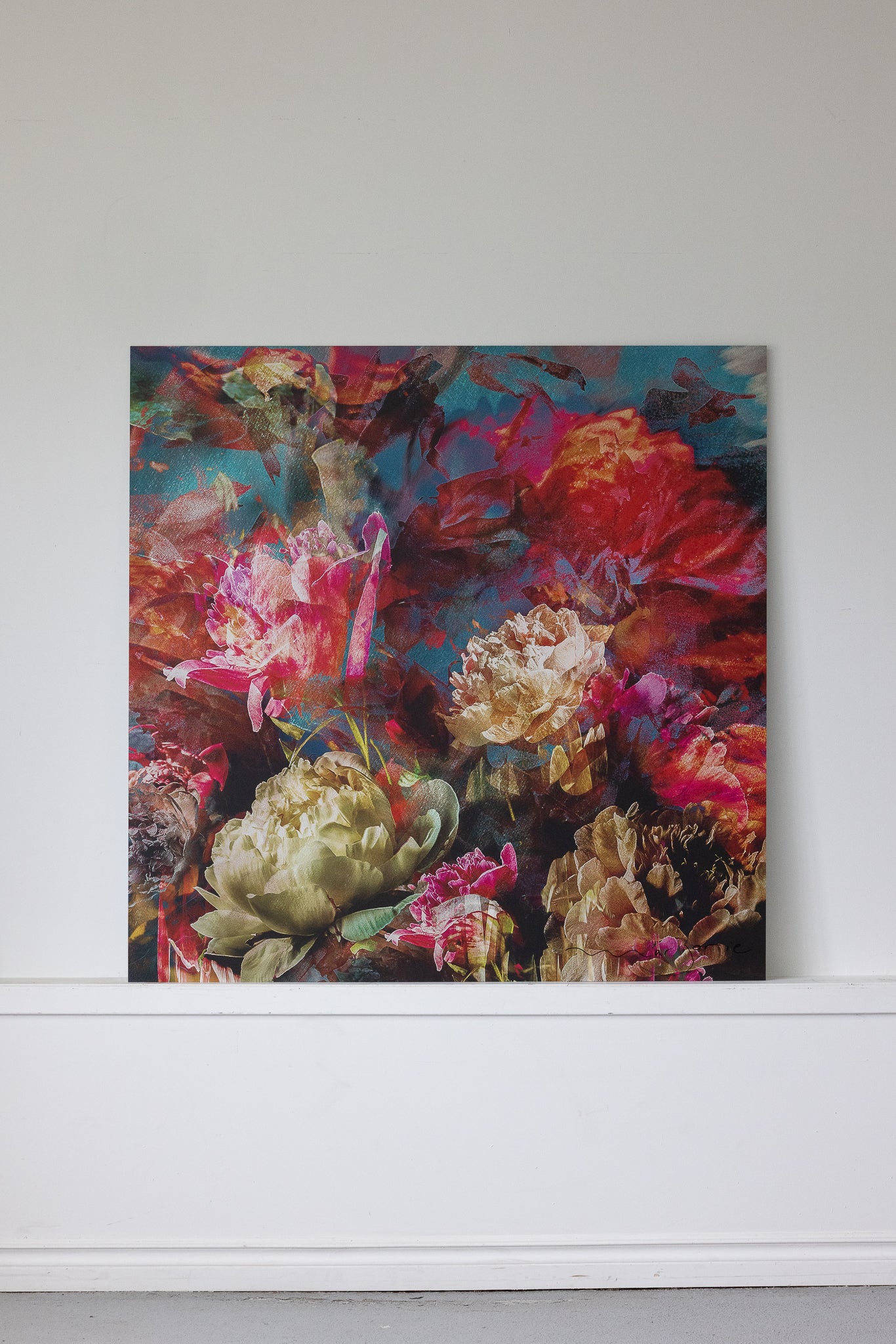 Les pivoines, 7 juin 11h29