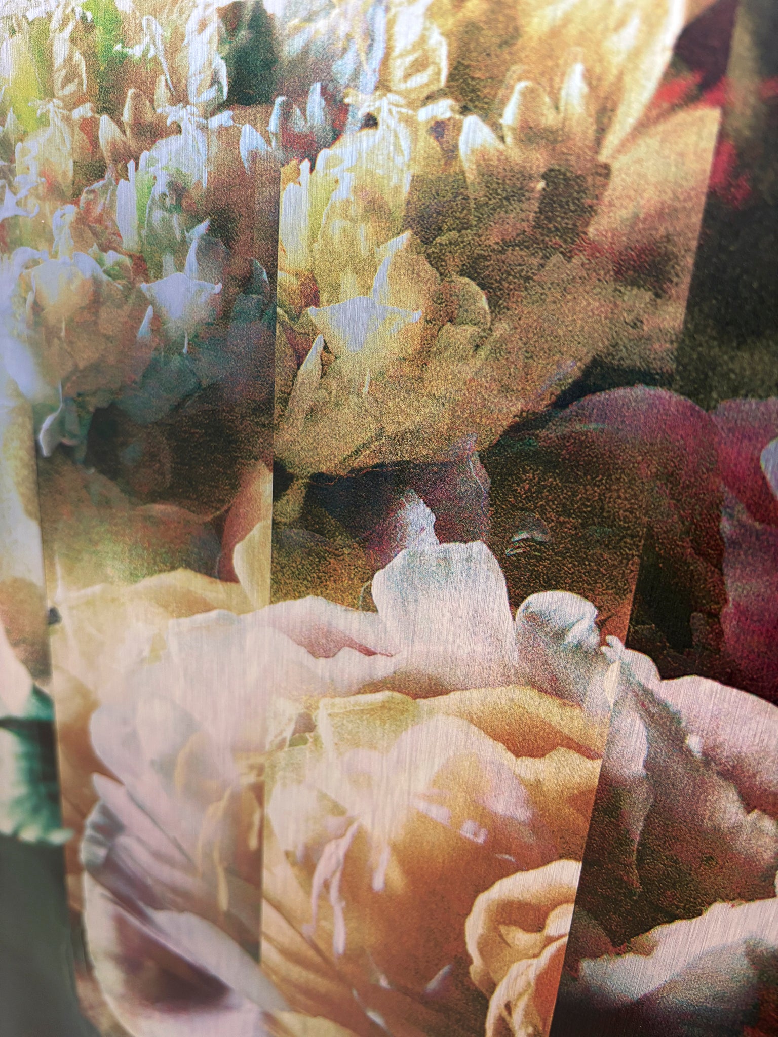 Les pivoines, 1 juillet 19h19