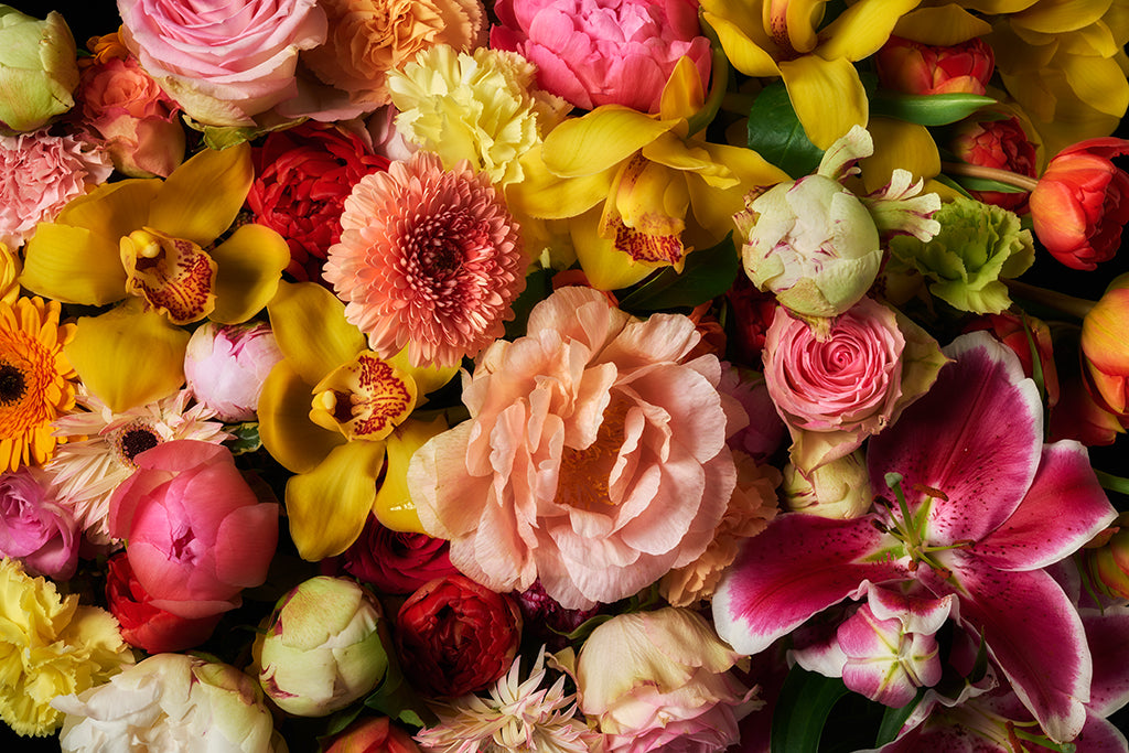 Baroque Inspiration (Série/Series) - Galerie d'Art Beauchamp