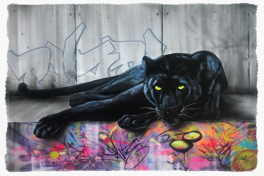 Black Pearl (Série/Series) - Galerie d'Art Beauchamp